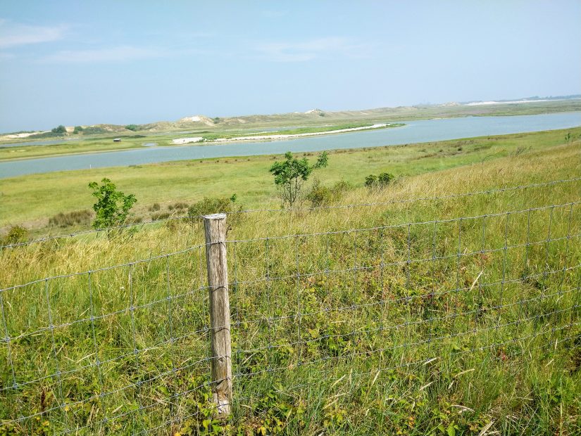 Mooie Nederlandse natuur